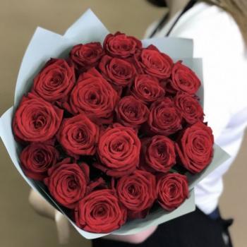 21 розы сорта "РЕД"